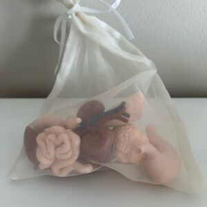 Halloween Decoration (Organs) Anatomical Model Set in Organza Bag